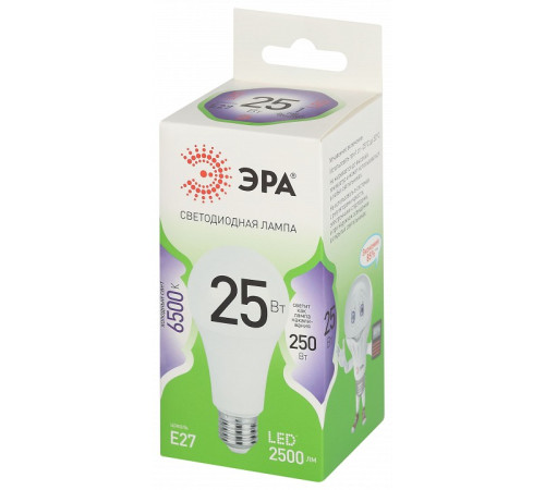 Лампа светодиодная Эра Green Line LED A60-25W-865-E27 GL
