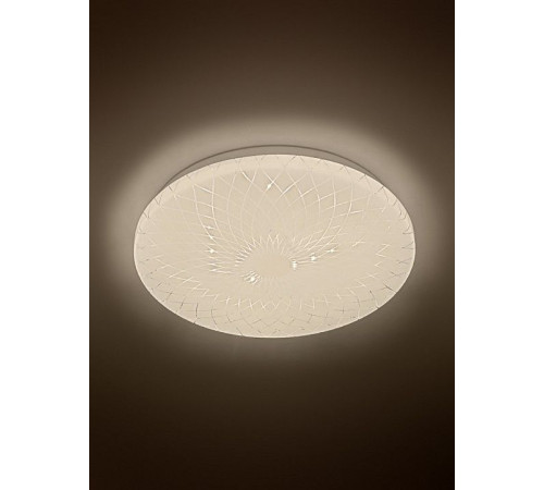 Накладной светильник Эра Slim Lily SPB-6 Slim Lily 18W-4K