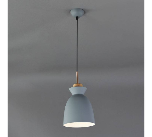 Подвесной светильник Escada Crater 1107/1S