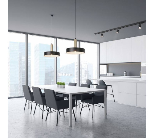 Подвесной светильник Escada Sagitta 1110/1S Black