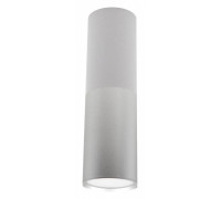 Накладной светильник Escada 20007 20007SMU/02LED SWH/CH