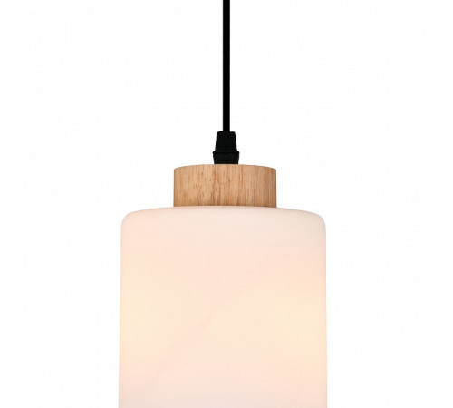 Подвесной светильник Escada 160002 160002/A/1P Black