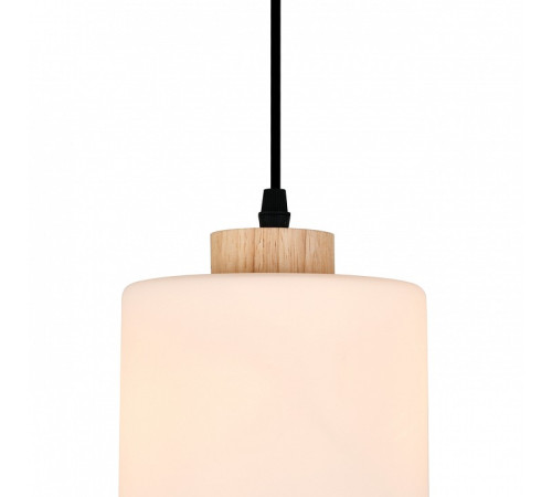 Подвесной светильник Escada 160002 160002/B/1P Black