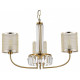 Подвесная люстра EVOLUCE Ellisse 3xE14 SLE1119-303-03