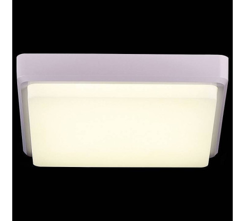 Накладной светильник EVOLUCE Taddio SLE200212-01