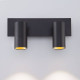 Бра Eurosvet Fleur 20066/2 LED черный/золото