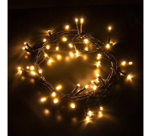 Гирлянда Нить Eurosvet 400-001 400-001 теплый белый
