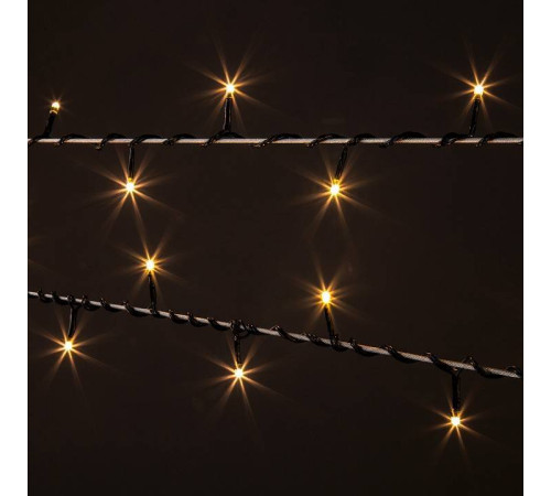 Гирлянда Нить Eurosvet 400-001 400-001 теплый белый