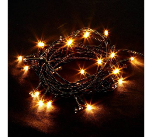 Гирлянда Нить Eurosvet 400-001 400-001 теплый белый