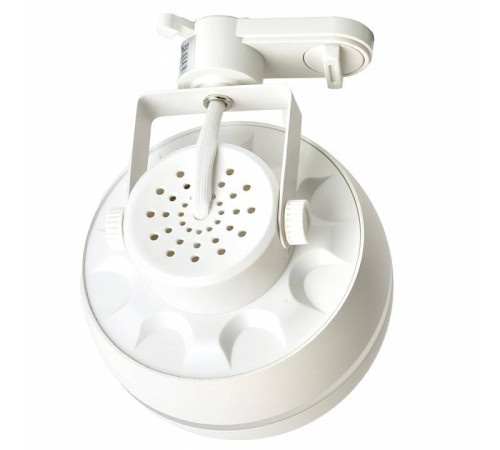 Светильник на штанге Feron AL168 48552