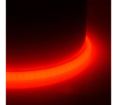 Шнур световой Feron LS551 48731