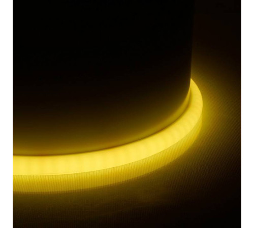 Шнур световой Feron LS551 48731