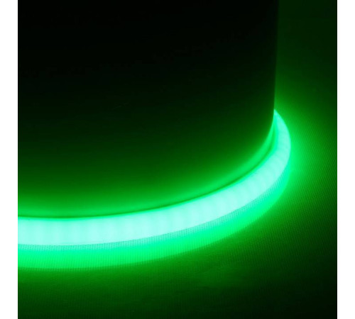 Шнур световой Feron LS551 48731