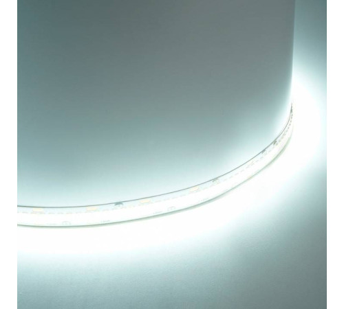 Лента светодиодная Feron LS503 48831