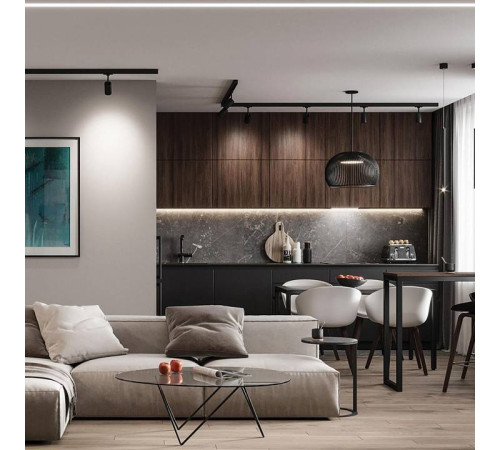 Трековый светильник Feron AL198 48940