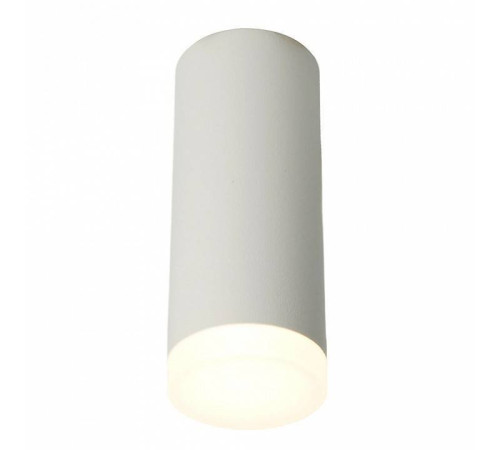 Накладной светильник Feron ML102 51389