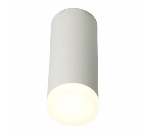 Накладной светильник Feron ML102 51389