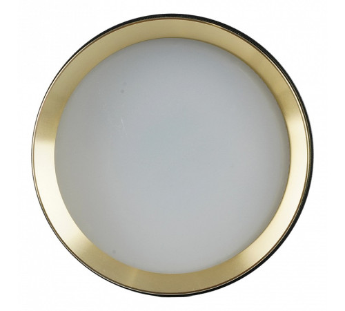 Накладной светильник Feron 52021