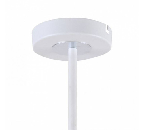 Люстра на штанге F-promo Viator 2559-8P