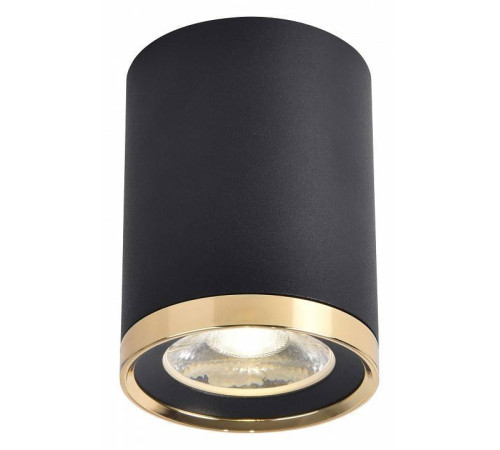 Накладной светильник Favourite Prakash 3086-1C