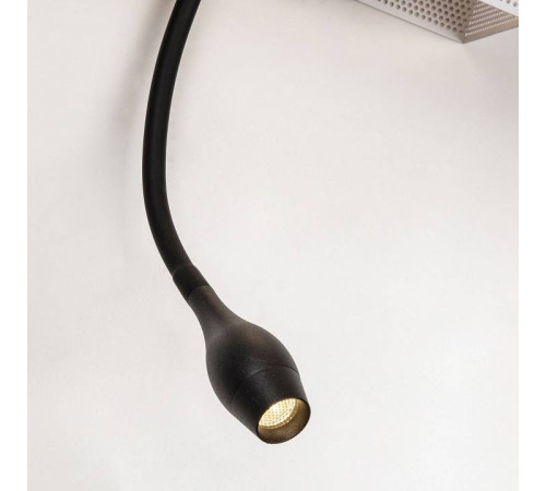 Бра с подсветкой Favourite Twin 4066-2W