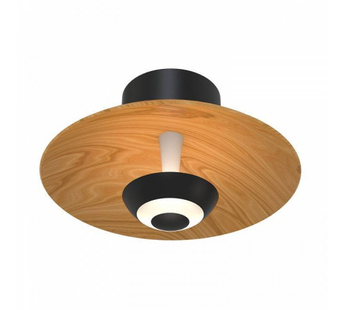 Накладной светильник Favourite Rueda 4288-1W