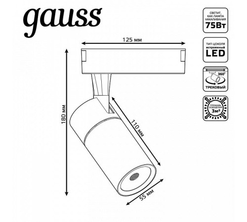 Светильник на штанге Gauss Track Light TR059