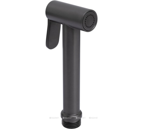 Гигиенический душ Allen Brau Priority графит браш 5.31028-MG