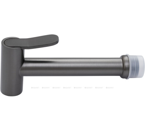 Гигиенический душ Allen Brau Priority графит браш 5.31028-MG