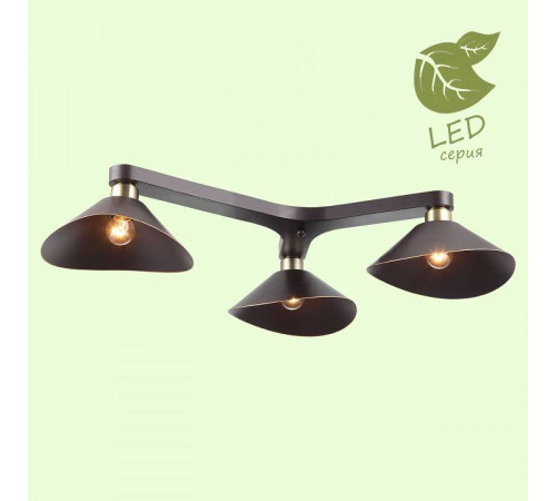 Потолочная люстра Lussole Opelika GRLSP-9534