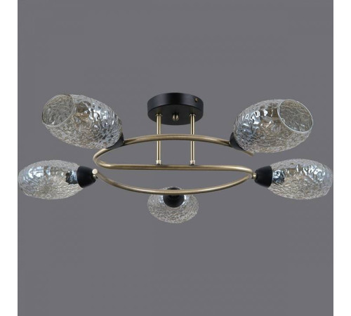 Потолочная люстра ILLUMICO IL0300-5CSQ-79 BK AB