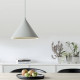 Подвесной светильник Imperiumloft Contour