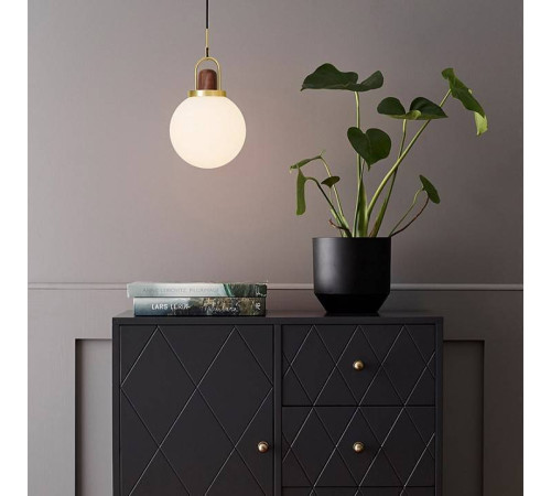 Подвесной светильник Imperiumloft Arc Globe 101295-26