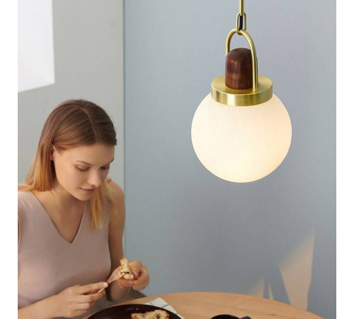 Подвесной светильник Imperiumloft Arc Globe 101295-26