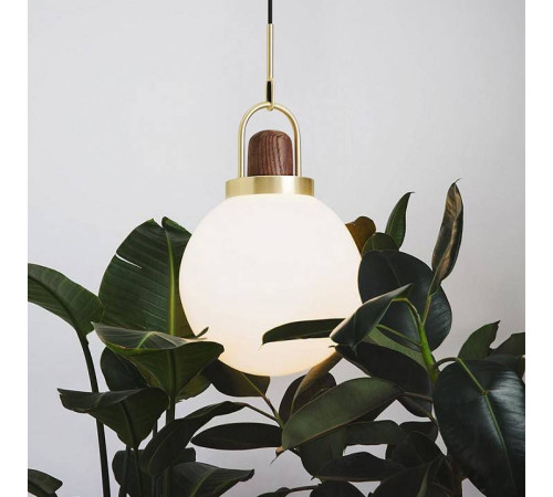 Подвесной светильник Imperiumloft Arc Globe 101295-26