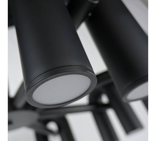 Подвесная люстра Imperiumloft FANNY Black fanny01