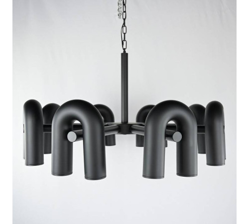 Подвесная люстра Imperiumloft FANNY Black fanny01