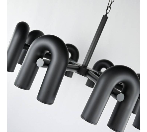 Подвесная люстра Imperiumloft FANNY Black fanny01