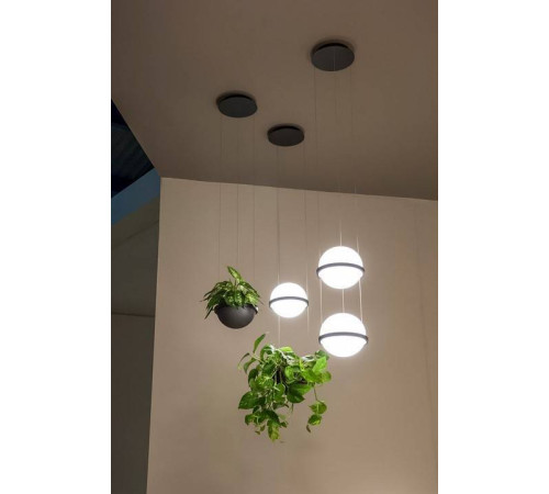 Подвесной светильник Imperiumloft Palma Wall Lamp 22.93727