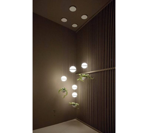 Подвесной светильник Imperiumloft Palma Wall Lamp 22.93727