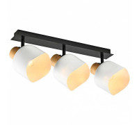 Спот Imex SP.050 SP.050-53-87