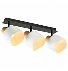 Спот Imex SP.050 SP.050-53-87