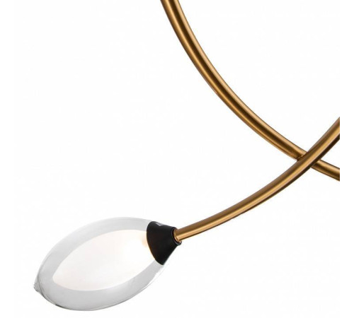 Подвесной светильник Indigo Fiore 13001/4P Black