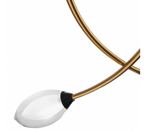 Подвесной светильник Indigo Fiore 13001/4P Black