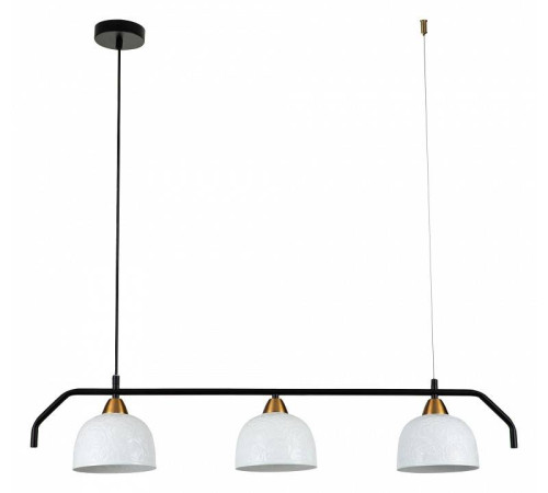 Подвесной светильник Indigo Attimo 10005/3PL Black