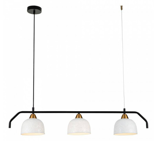 Подвесной светильник Indigo Attimo 10005/3PL Black