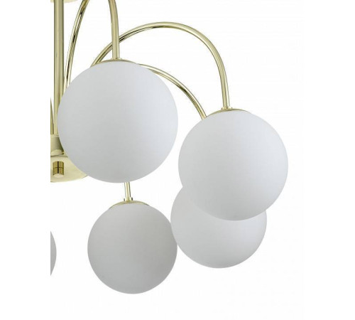 Люстра на штанге Indigo Voga 13017/8R Gold