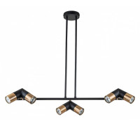 Люстра на штанге Indigo Doppio 11036/6R Black