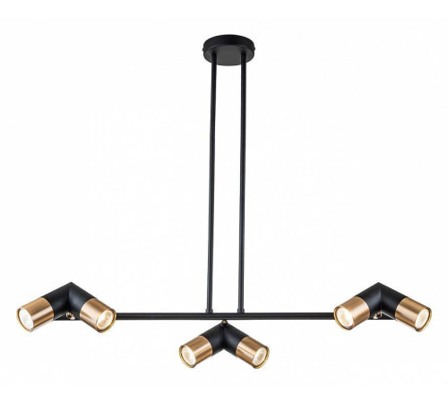 Люстра на штанге Indigo Doppio 11036/6R Black