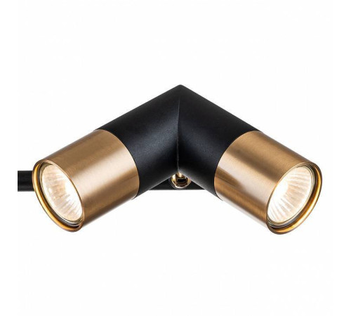 Люстра на штанге Indigo Doppio 11036/6R Black